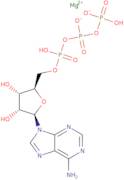 Adenosine 5'-triphosphate magnesium salt