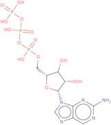 2-Amino-9-(b-D-ribofuranosyl)purine 5'-O-triphosphate - 10mM aq. solution