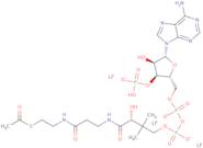 Acetyl coenzyme A trilithium