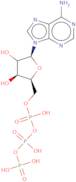 L-Adenosine 5'-triphosphate sodium salt