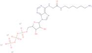 N6-([6-Aminohexyl]carbamoylmethyl)adenosine 5'-triphosphate lithium salt