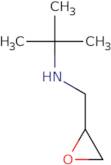 2-Methyl-N-((oxiran-2-yl)methyl)propan-2-amine