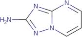 [1,2,4]Triazolo[1,5-a]pyrimidin-2-ylamine