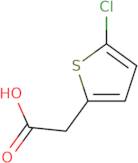 (5-Chloro-2-thienyl)acetic acid