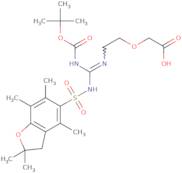 5-[N-t-Butyloxycarbonyl-N'-(2,2,4,6,7-pentamethyldihydrobenzofuran-5-sulfonyl)]amidino-3-oxapentan…