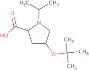 (2S,4S)-4-tert-Butoxy-1-isopropyl-proline