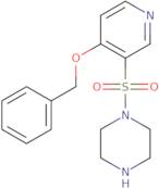 (E)-3-Ethoxy-3-oxoprop-1-enylboronic acid