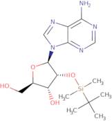 2'-O-tert-Butyldimethylsilyladenosine