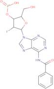 N-Benzoyl-2'-deoxy-2'-fluoroadenosine, 3'-(hydrogen phosphonate)