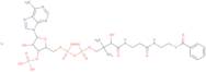 Benzoyl coenzyme A lithium