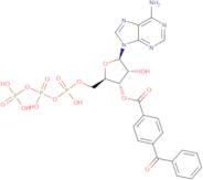 2'(3')-O-(4-Benzoyl)benzoyladenosine-5'-triphosphate triethylammonium salt