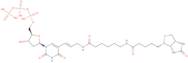 Biotin-11-deoxyuridine-5'-triphosphate, triethylammonium salt - 1 mM aqueous solution