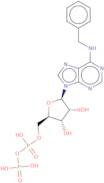 N6-Benzyladenosine 5'-diphosphate sodium salt - 10 mM aqueous solution