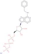 N6-Benzyladenosine 5'-triphosphate sodium salt - 10 mM aqueous solution