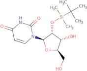 2'-O-tert-Butyldimethylsilyluridine