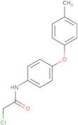 2-Chloro-N-[4-(4-methylphenoxy)phenyl]acetamide