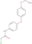 2-Chloro-N-[4-(4-ethoxyphenoxy)phenyl]acetamide