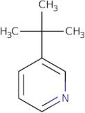 Pyridine, 3-(1,1-dimethylethyl)-