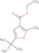 5-tert-Butyl-2-methyl-furan-3-carboxylic acid ethyl ester