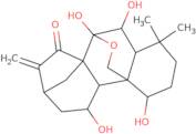 Lasiodonin