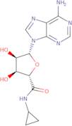 5'-(N-Cyclopropyl)carboxamidoadenosine