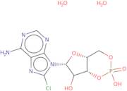 8-Chloroadenosine 3',5'-cyclic monophosphate dihydrate