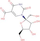 5-Carboxyhydroxymethyluridine