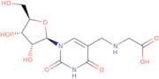 5-Carboxymethylaminomethyluridine