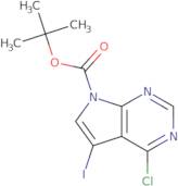 4-Chloro-5-iodo-pyrrolo[2,3-d]pyriMidine-7-carboxylic acid tert-butyl ester