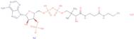 Coenzyme A sodium salt hydrate