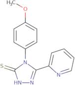 4-(4-Methoxyphenyl)-5-(pyridin-2-yl)-4H-1,2,4-triazole-3-thiol