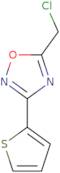 5-(Chloromethyl)-3-thien-2-yl-1,2,4-oxadiazole