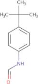 N-(4-tert-Butyl-phenyl)-formamide