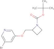 3-(1-Methyl-1-oxidopyrrolidin-1-ium-2-yl)pyridine