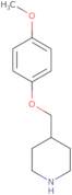 4-(4-Methoxy-phenoxymethyl)-piperidine