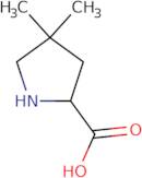 4,4-Dimethyl-pyrrolidine-2-carboxylic acid