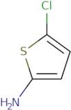 5-Chlorothiophen-2-amine