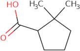 2,2-Dimethylcyclopentane-1-carboxylic acid