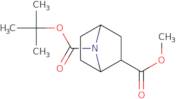 exo-7-(Boc) 2-Methyl-7-aza-bicyclo[2.2.1]heptane-2-carboxylate