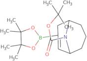 tert-Butyl 3-(tetramethyl-1,3,2-dioxaborolan-2-yl)-9-azabicyclo[3.3.1]non-2-ene-9-carboxylate