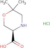 (R)-6,6-Dimethyl-morpholine-3-carboxylic Acid Hydrochloride