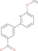 2-Methoxy-6-(3-nitrophenyl)pyridine