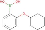 2-(Cyclohexyloxy)phenylboronic acid