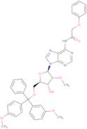 5'-O-DMT-2'-O-methyl-N6-phenoxyacetyladenosine