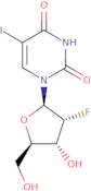 2'-Deoxy-2'-fluoro-5-iodouridine