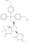 2'-Deoxy-5'-O-DMT-2'-trifluoroacetamidouridine