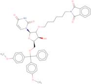 5'-O-DMT-2'-O-hexylphthalimidouridine