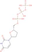 2',3'-Dideoxyuridine-5'-triphosphate lithium - 100mM aqueous solution