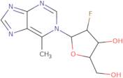 1-(2'-Deoxy-2'-fluoro-b-D-arabinofuranosyl)6-methylpurine