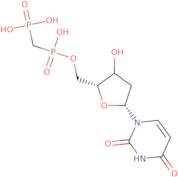 2'-Deoxyuridine-5'-[(a,b)-methyleno]diphosphate sodium salt - 10mM aqueous solution